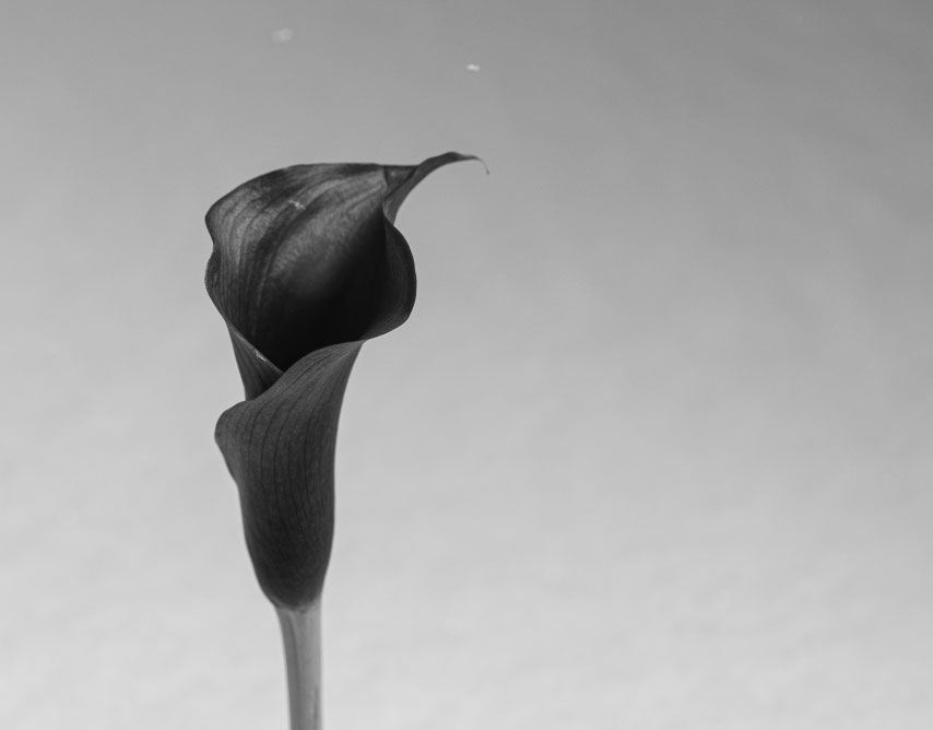 James:<br />Faith that Works